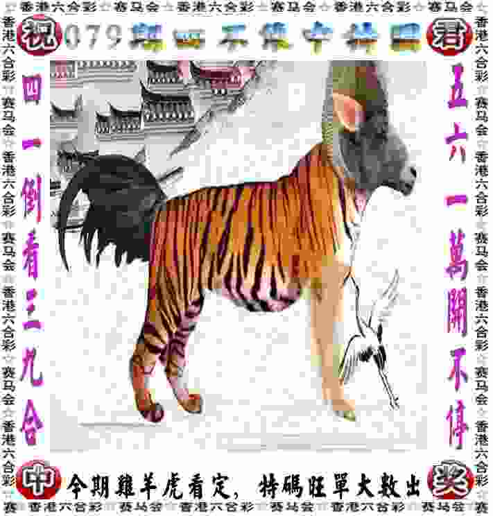 作家丁墨：金庸教会了我 更成熟地看待世界